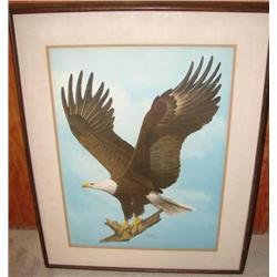 RAY HARM PRINT OF BALD EAGLE