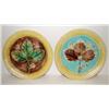 Image 1 : PAIR OF MAJOLICA PLATES
