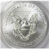 Image 2 : 2013-W AMERICAN SILVER EAGLE