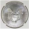 Image 2 : 2014-W AMERICAN SILVER EAGLE