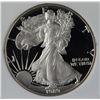 Image 1 : 1989-S AMERICAN SILVER EAGLE