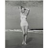 Image 1 : ANDRE DE DIENES: MARILYN MONROE 1949.