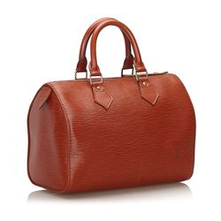 Louis Vuitton Epi Speedy 25