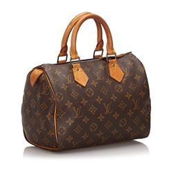 Louis Vuitton Monogram Speedy 25