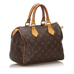 Louis Vuitton Monogram Speedy 25