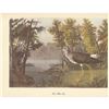 Image 1 : c1950 Audubon Print, Lesser Yellow-Legs