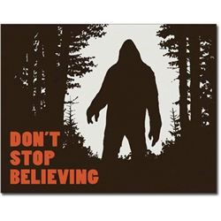 Don't Stop Believing