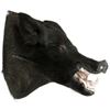 Image 1 : Wild Boar Trophy Mount, H 21", D 20"