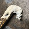 Image 5 : Hand Carved Shed Deer Antler, African Elephant Cane Dagger Handle