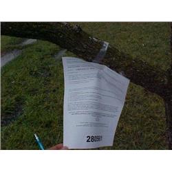 25009 MI Genesee - 2005 E. Princeton