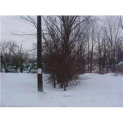 25015 MI Genesee - 2005 E. Rex Ave