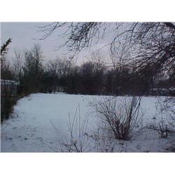 25019 MI Genesee - 2005 E. Cass Ave