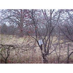 25020 MI Genesee - 2005 6492 Harvard