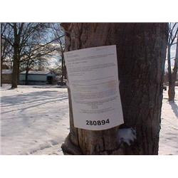25022 MI Genesee - 2005 6270 LaBeau St
