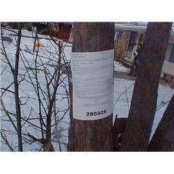 25023 MI Genesee - 2005 6202 Cypress