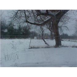 25030 MI Genesee - 2005 1119 Louis Ave.