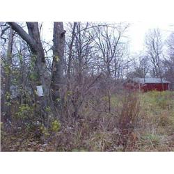 25039 MI Genesee - 2005 1370 Genesee Ave.