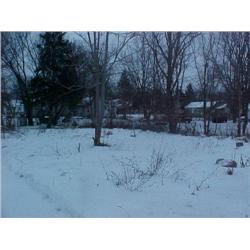 25047 MI Genesee - 2005 1098 Carpenter Rd.