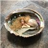 Image 1 : Artisan Made Fantasy Mermaid Abalone Shell Doll