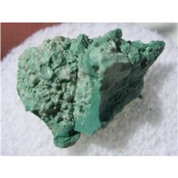 Exttremly Rare Specimen, 180 Million Year Old Arizona Chromium Petrified Conifer Tree Wood