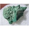 Image 1 : Exttremly Rare Specimen, 180 Million Year Old Arizona Chromium Petrified Conifer Tree Wood