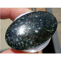 Gem Quality 6.59 grams Agatized Dinosaur Gembone Fossil Cabochon