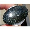 Image 1 : Gem Quality 6.59 grams Agatized Dinosaur Gembone Fossil Cabochon