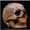 Image 1 : Elephant Skin Jasper Gemstone Carved Skull