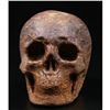 Image 2 : Elephant Skin Jasper Gemstone Carved Skull