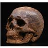 Image 3 : Elephant Skin Jasper Gemstone Carved Skull