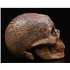 Image 4 : Elephant Skin Jasper Gemstone Carved Skull