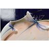 Image 3 : Selection of new in box Franz Porcelain " Dragon Fly" including teapot, cream, lidded sugar, sugar s
