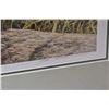 Image 2 : Framed limited edition print titled "Cougar's Ledge" pencil signed by artist Jorge Mayol, 553/950
