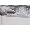 Image 8 : Three unframed limited edition prints including "Eagle Heart" pencil signed by artist Bev Doolittle 
