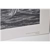 Image 2 : Three unframed signed limited edition prints including "High Arctic Voice" pencil signed by artist R