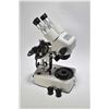 Image 1 : Mark V jewellery microscope with 10X and 20X lenses