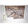 Image 1 : Unframed limited edition print titled "Den Mother-Wolf Family" pencil signed by artist Carl Brenders