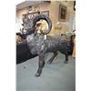 Image 1 : Large cast aluminium Bighorn sheep/ram 70" in height. Not available for shipping. Local bidders only