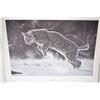 Image 1 : Two unframed limited edition prints including "The Good Hunting Place-Morning Light Bobcat" and "The