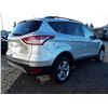 Image 3 : C6 --  2013 FORD ESCAPE SE , Silver , 248653  KM's