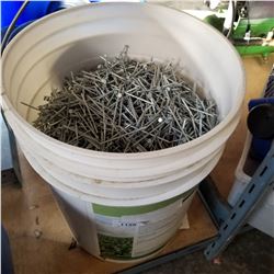PAIL OF NAILS