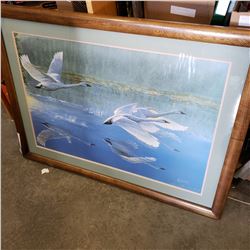 JILL DEULING LEP SWANS 13/200