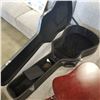 Image 8 : ANGELICA WG-10 ACOUSTIC GUITAR IN HARD CASE