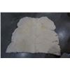 Image 2 : SHEEP SKIN RUG