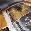 Image 2 : 2 LEP BIRD UNFRAMED PRINTS