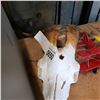 Image 2 : GOAT SKULL AND HORNS
