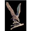 Image 1 : Fabulous Bronze Eagle