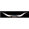 Image 1 : Set of Texas Longhorn horns w/ 60 spread
