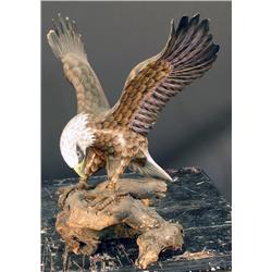Carved wooden Eagle  20 tall