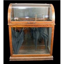 Curved Glass, umbrella and cane showcase